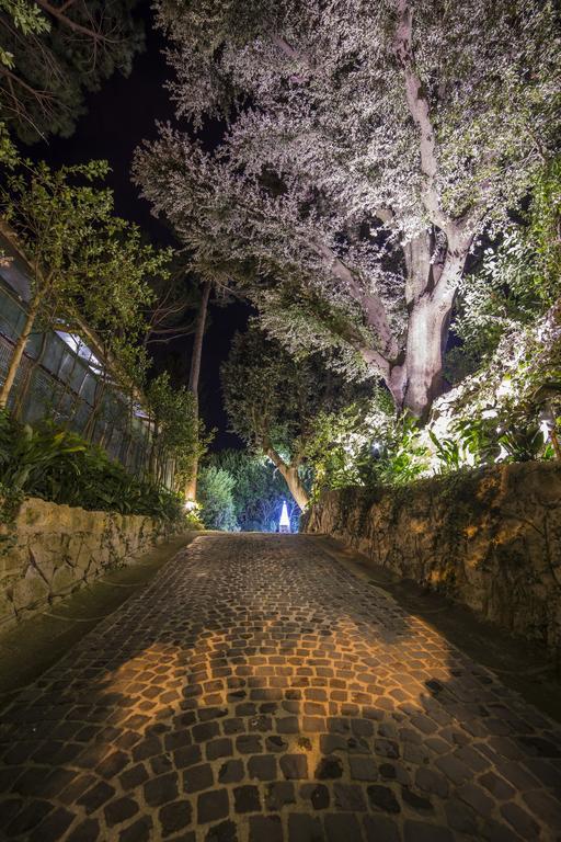 La Canonica Dei Fiori - Anna Fendi Country House Hotel Ronciglione  Buitenkant foto